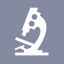 Genética